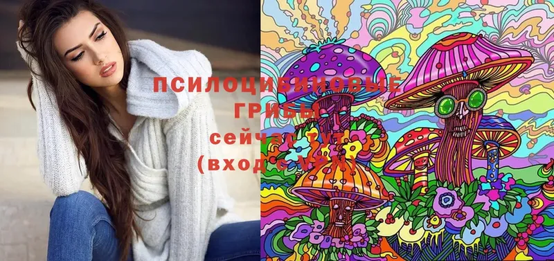 Галлюциногенные грибы Magic Shrooms  Канск 